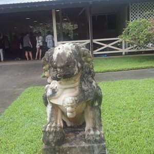 Meet your Posher, Noelle